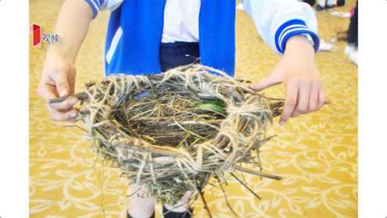 成都小学生为鸟儿设计家甚至还设计了“别墅”_高清