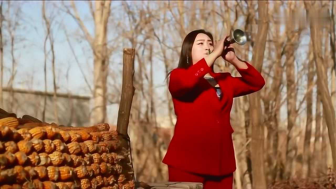 感人的一首一壶老酒mv演唱范美