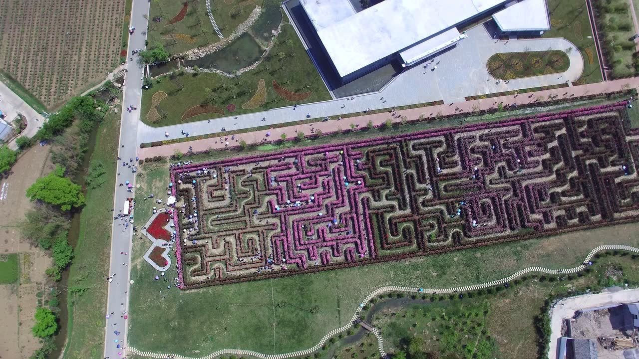 安龙玫瑰迷宫地图图片