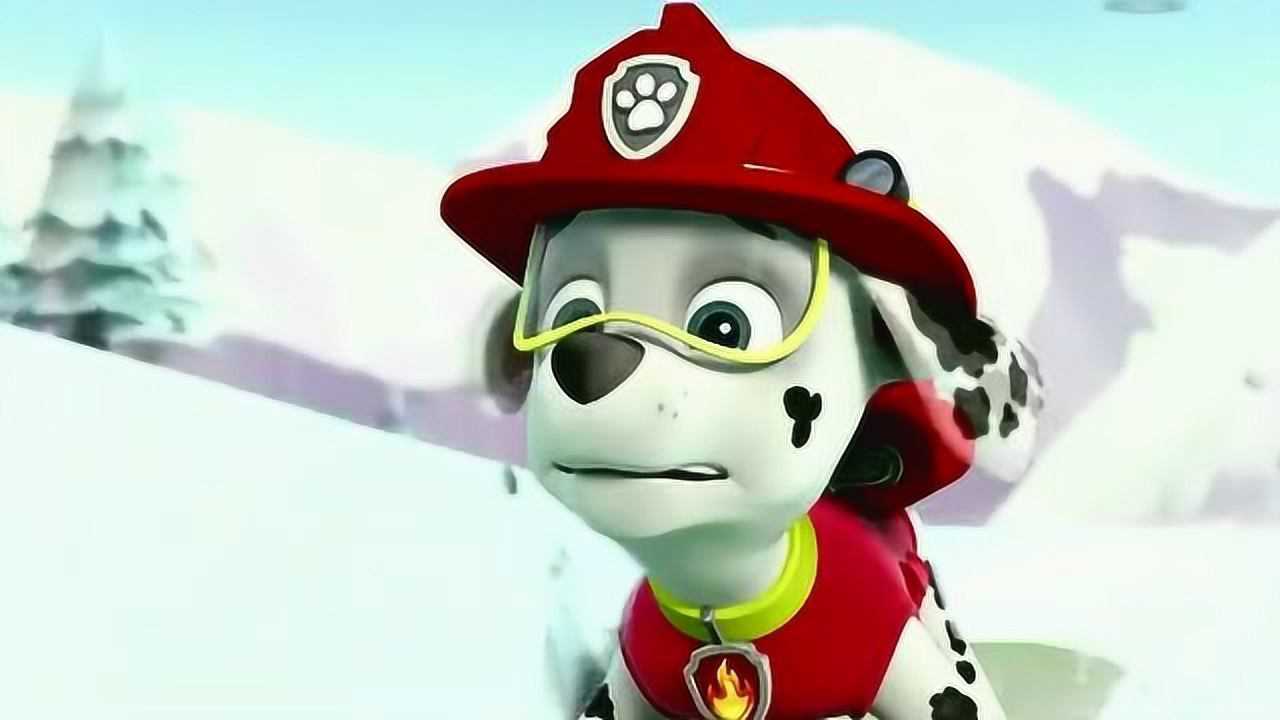 汪汪队毛毛陡坡滑雪下山滚成一个大雪球小朋友千万别学他