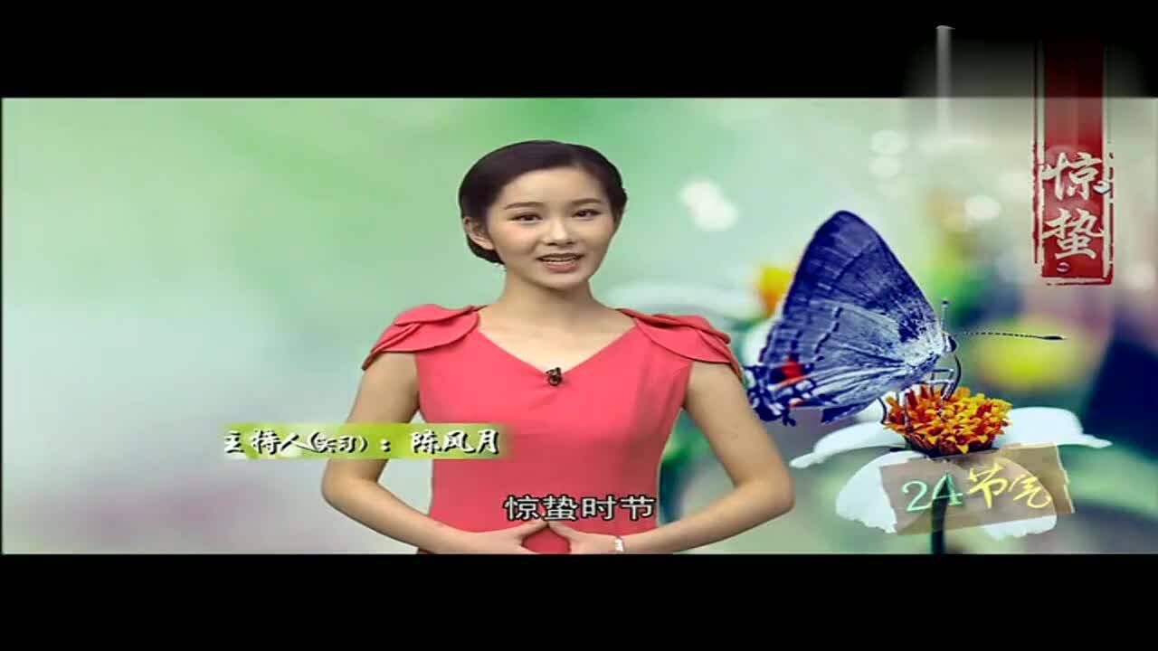 smg金色频道 24节气养生:惊蛰养生食谱