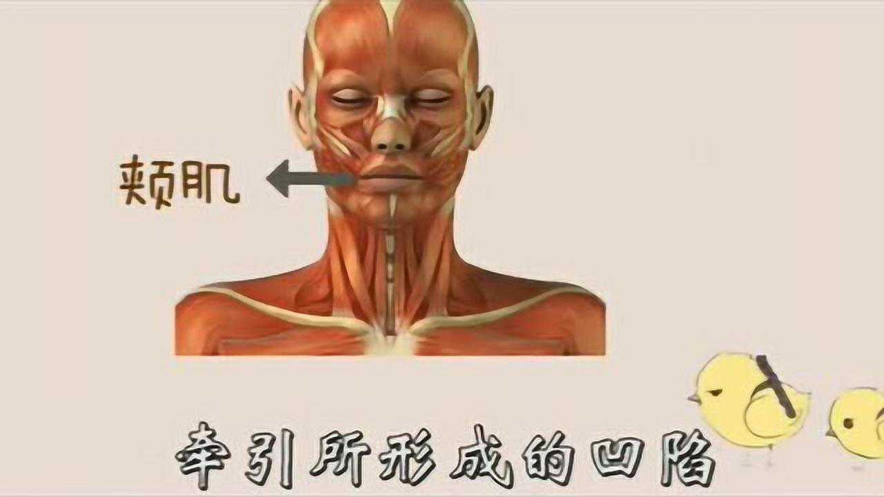 迷人的酒窝梨涡是如何形成的?_高清1080P在线观看平台_腾讯视频