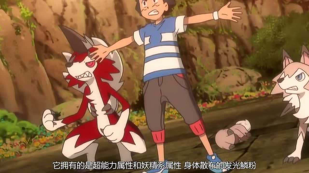 阿罗拉的四大妖精系神奇宝贝最后一只曾主动与皮卡丘单挑