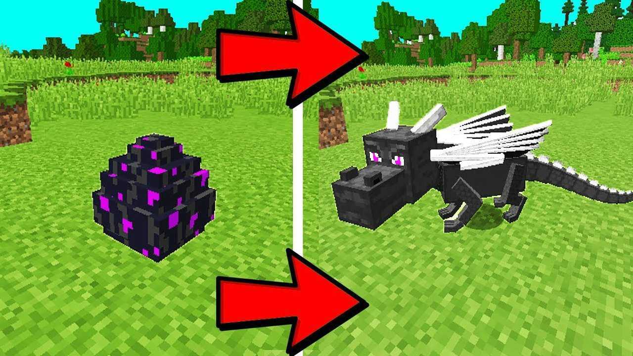 我的世界如何孵化末影龙蛋新手教程