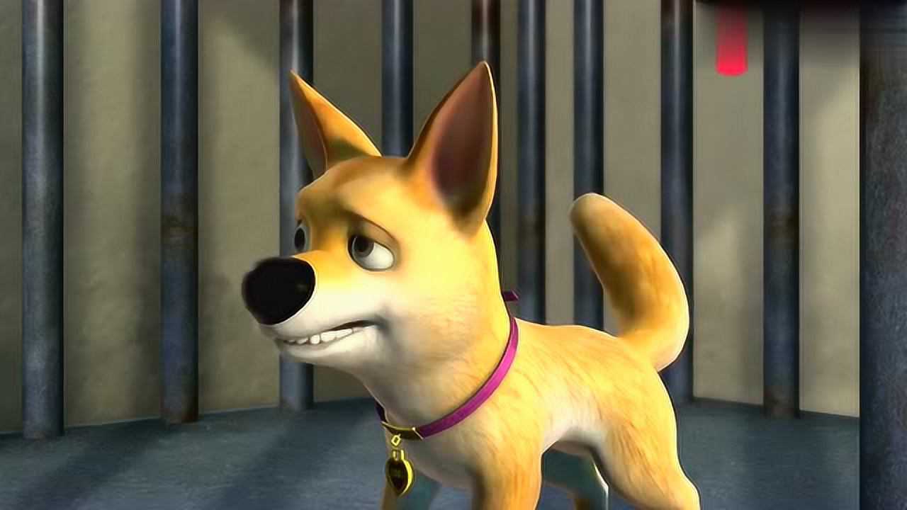 光头强为了救小狗狗勇闯饭店把熊大熊二都感动了