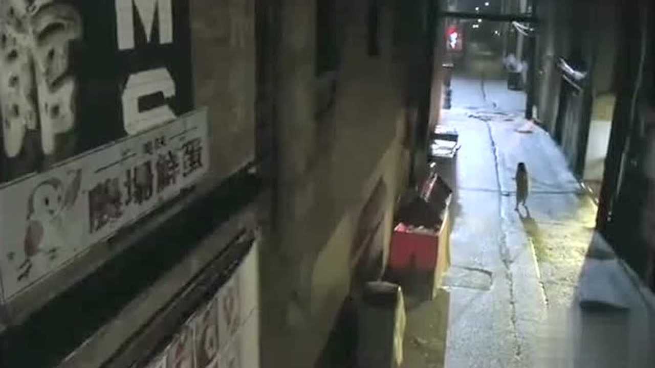孕妇肚子被人强行注射神秘液体，刚一个月的身孕肚子却越来越大！_高清