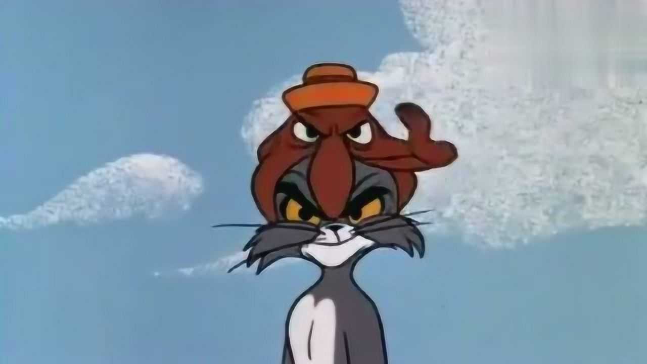 汤姆冲浪,被一只章鱼黏上!