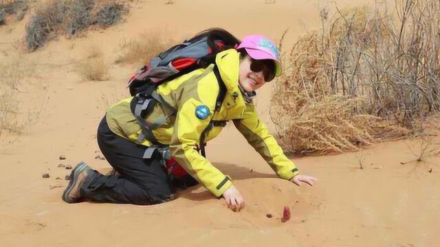 沙漠底下没有水,那到底有什么东西?把沙子挖空之后会发生什么?