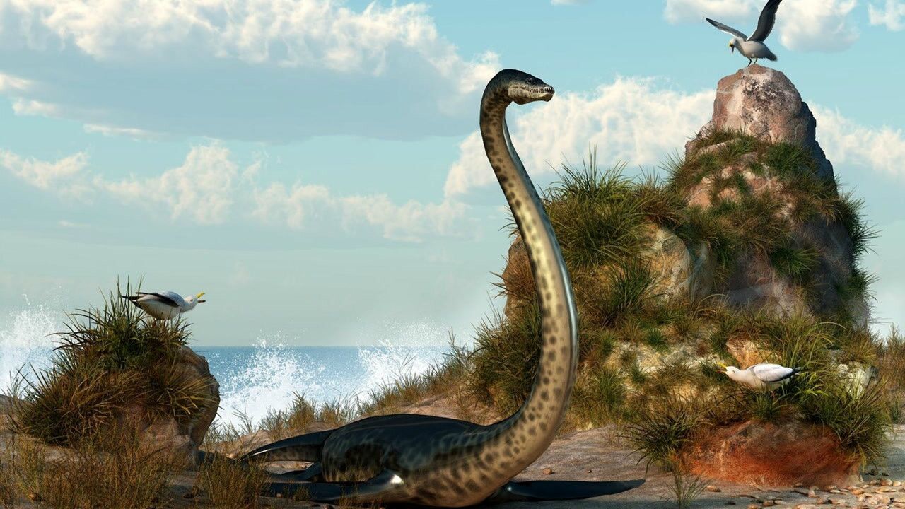 恐龙灭绝期间的幸存者距今存活上亿年药用价值极高