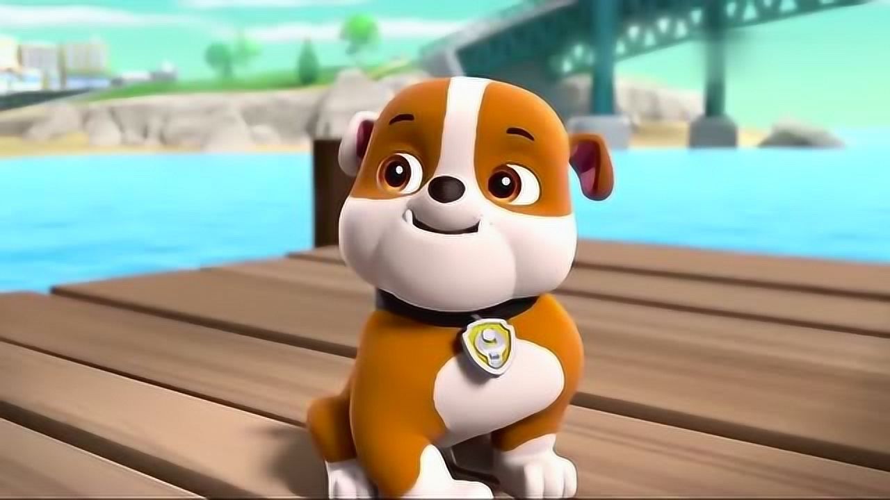 狗狗探险队动画片图片