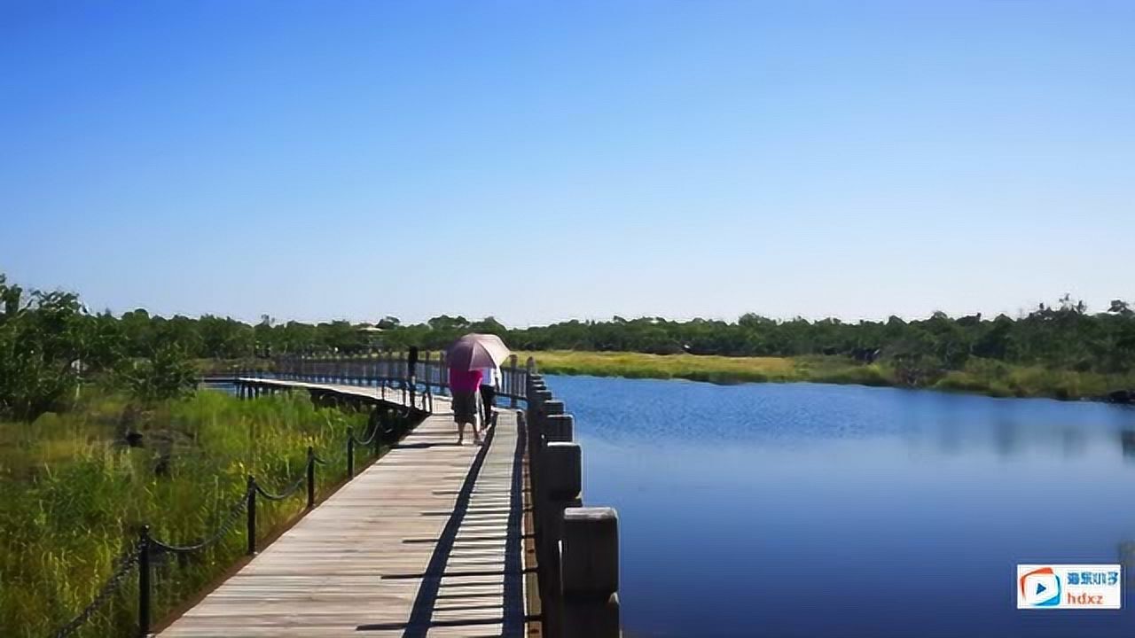 五大连池温泊奇景之一金沙池也称碧泊访高寒游鱼看碧螺吐丝