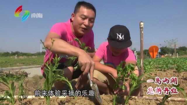 最美丹灶游丨仙岗仿古田园风情之旅