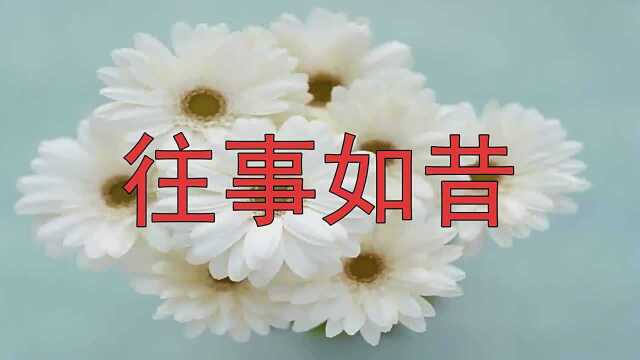 雷婷实力唱《往事如昔》,歌声清澈,无比动人