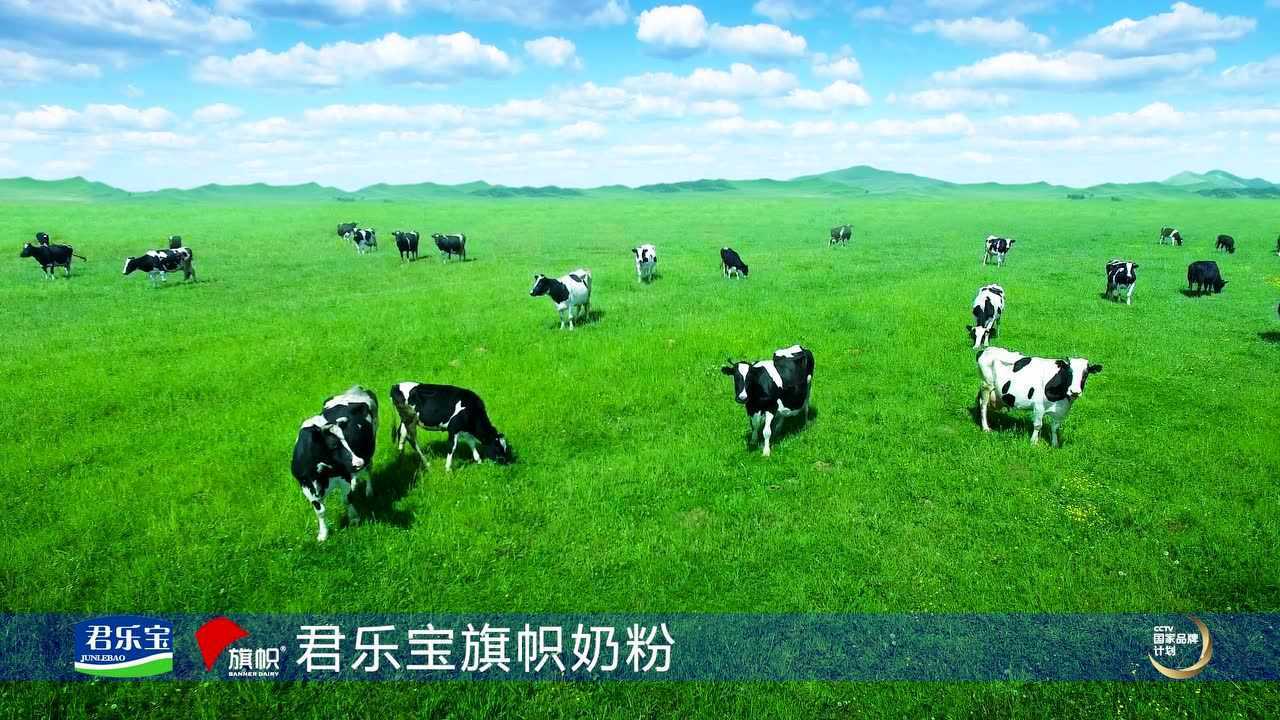君乐宝旗帜奶粉广告