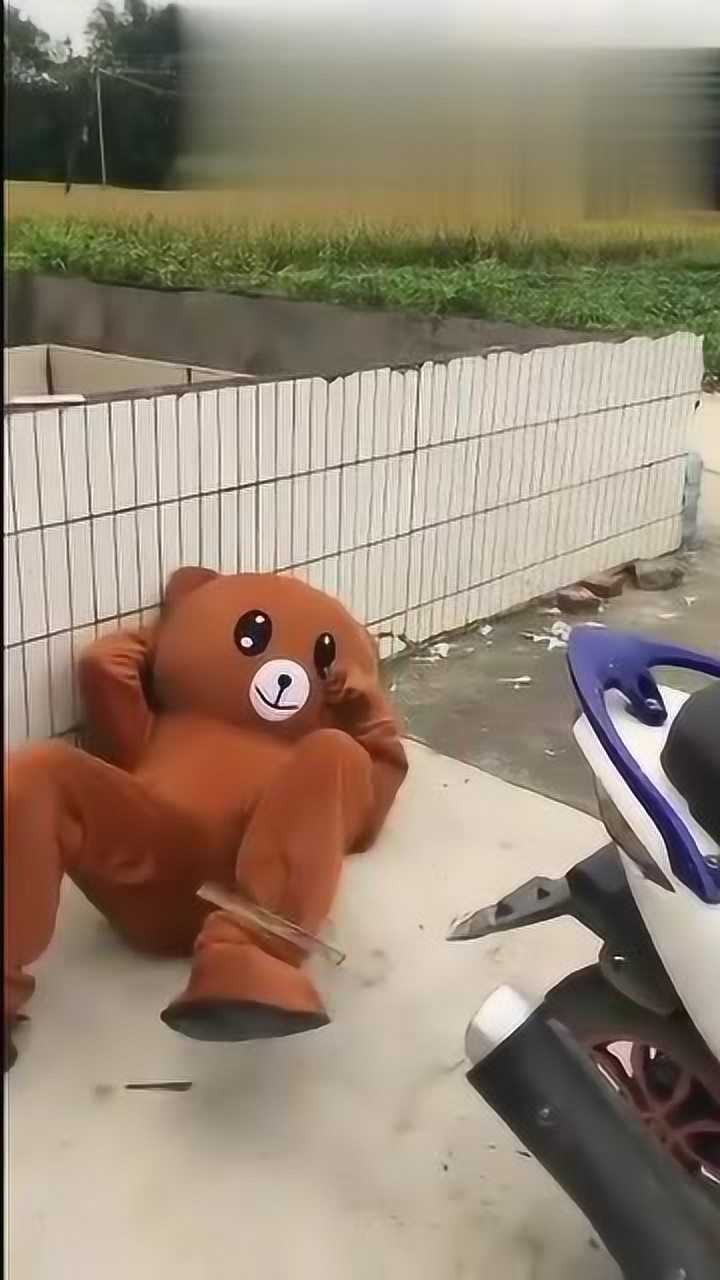 网红熊表演徒手劈木棍结局太搞笑网友我就想问问头套它痛吗