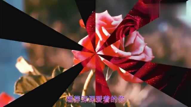 许嵩经典歌曲《玫瑰花的葬礼》太好听了, 满满都是回忆