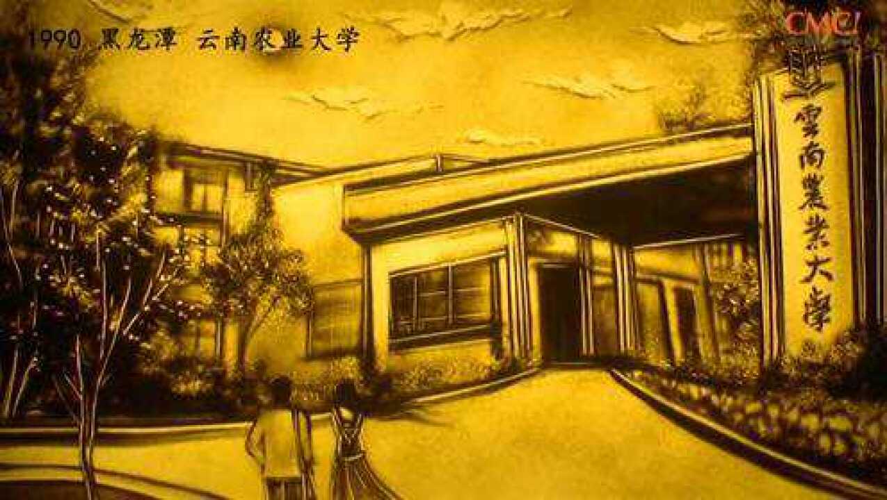 云南农业大学沙画绘校史