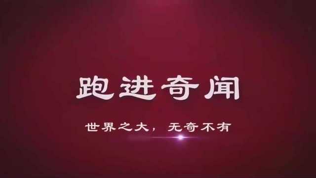 4百多斤女孩开了一家特殊美容院,专门为胖姑娘服务!