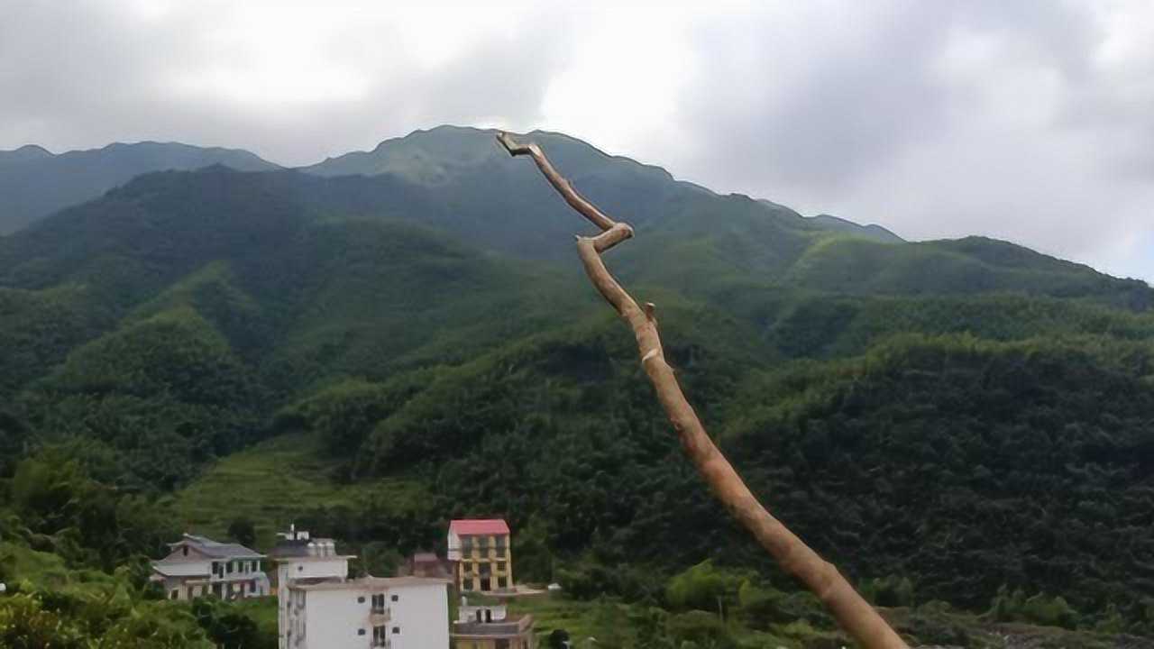风水宝地 大象下山
