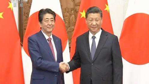 习近平会见日本首相安倍晋三