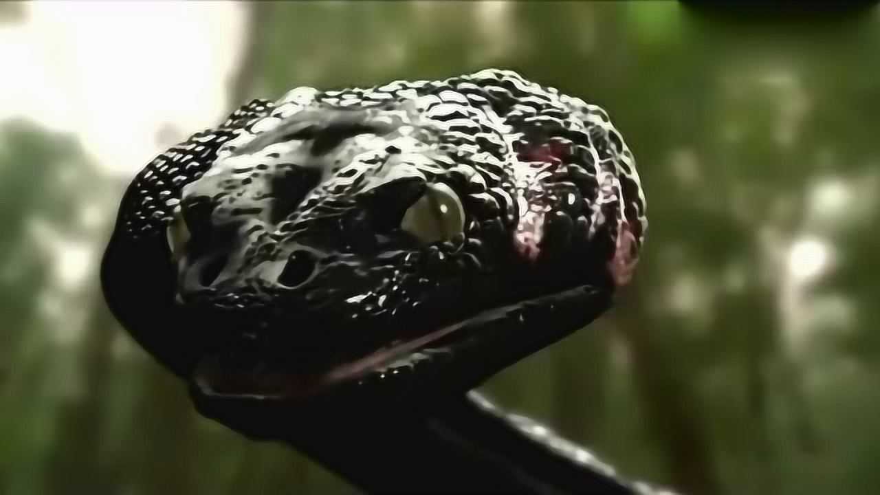 狂蟒之灾3巨蟒硬是将人活生生吞入腹中太凶残太吓人了