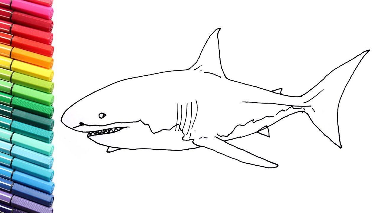 大白鲨画法 简笔画图片