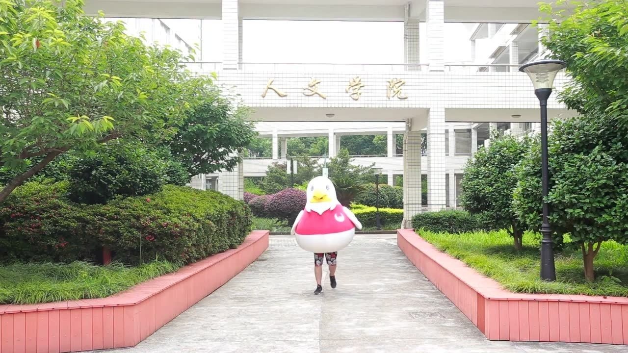 宁波大红鹰学院