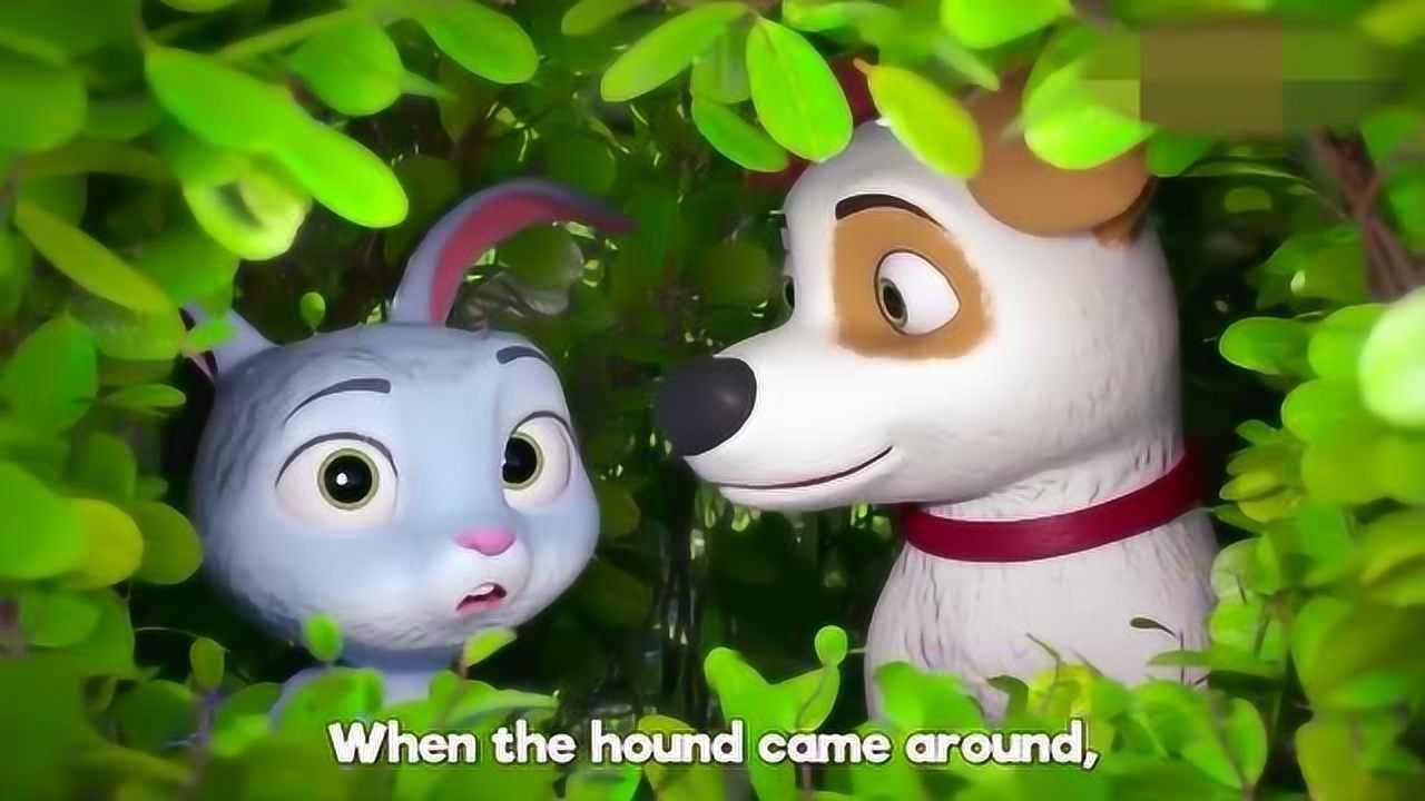 宝宝喜欢听的英文早教儿歌bunny hop