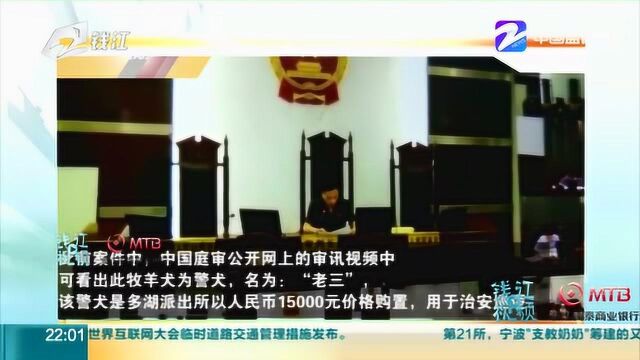 警犬翻食垃圾被带走救助,救助夫妻涉“盗窃警犬”被取保候审