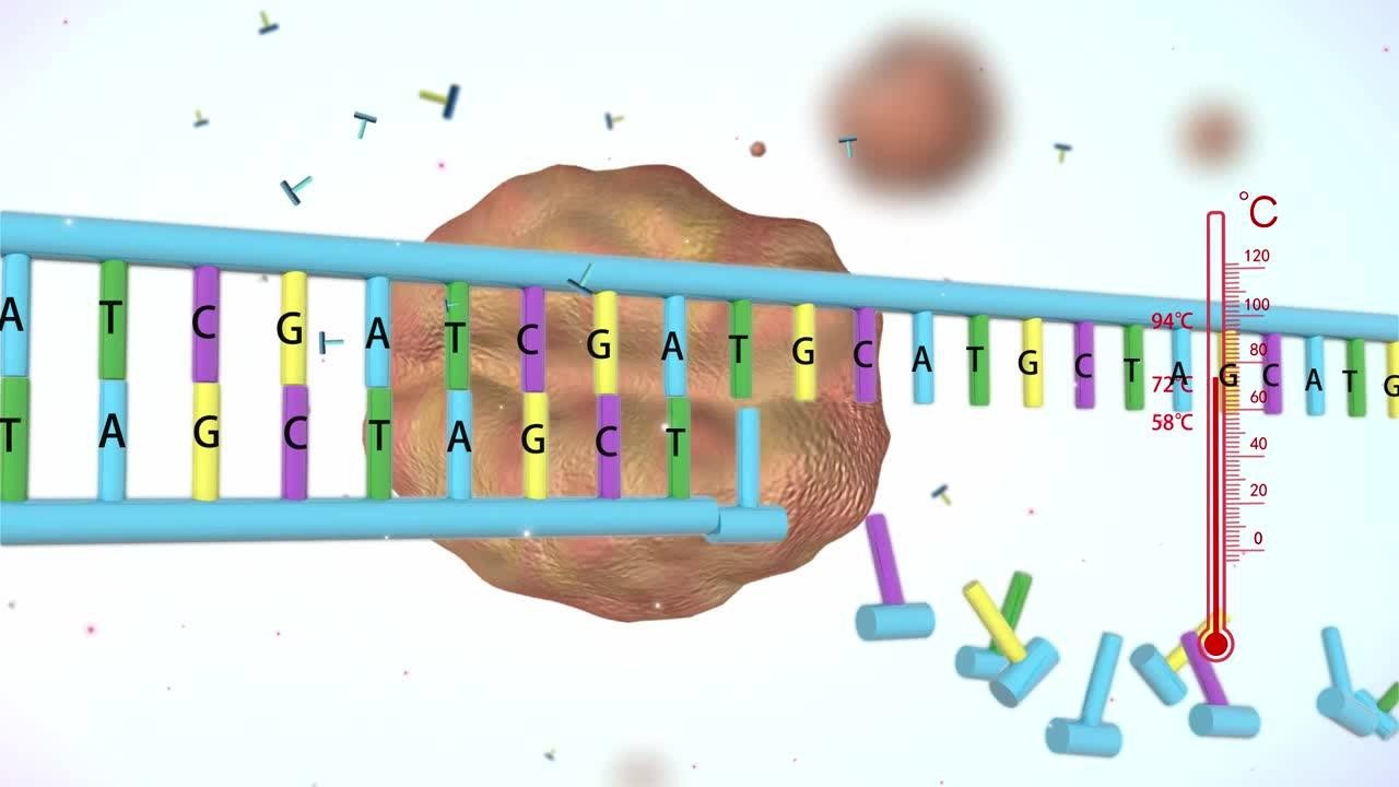 【3D动画】PCR扩增_腾讯视频