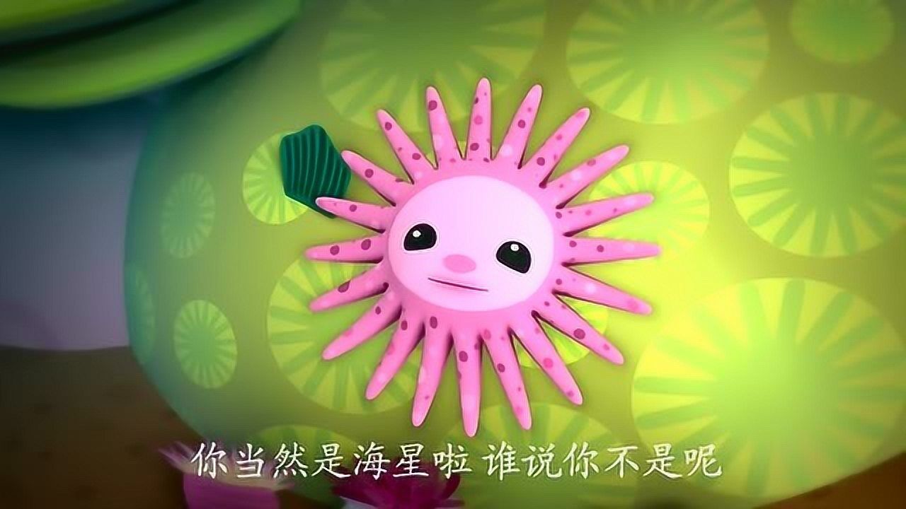 海底小纵队;原来长了很对只脚的海星叫向日葵海星