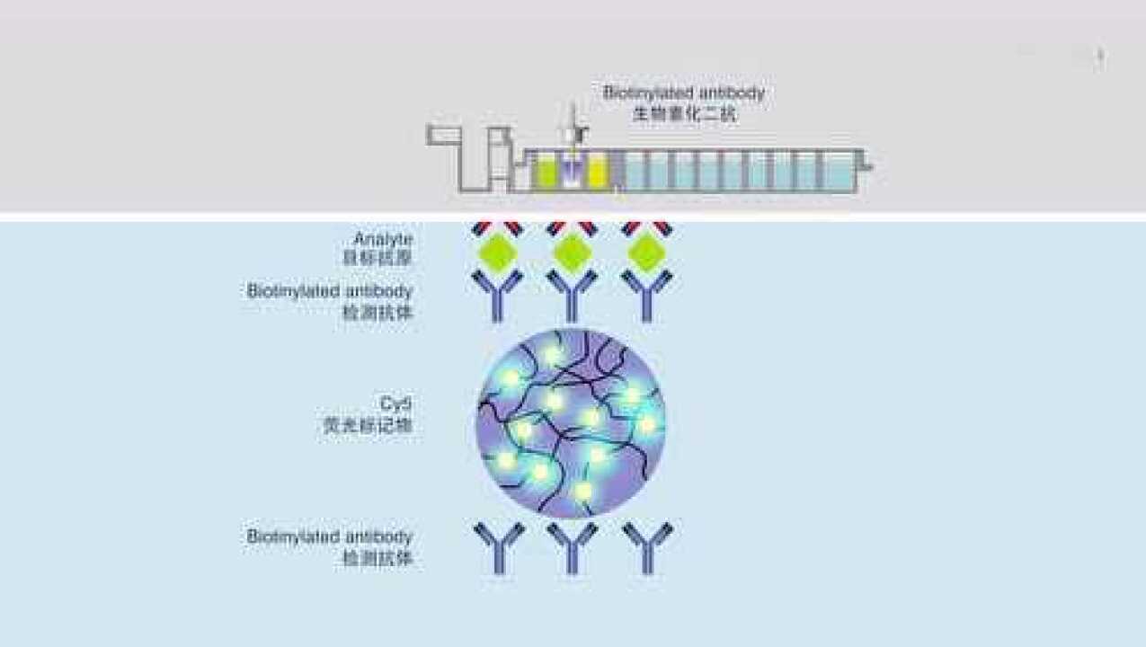 星童医疗循环增强荧光免疫法_高清