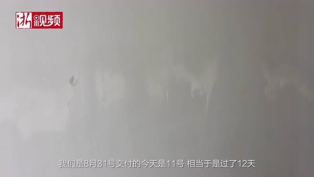 房屋交付墙皮脱落 中央花园任是黄土坡 绿城品质遭质疑