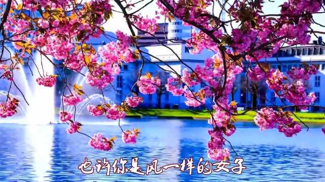 一首歌曲《风一样的女子》真让人听得陶醉,声动梁尘,好听极了