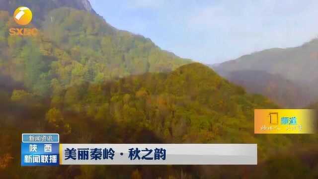 秦岭秋之韵:秋日黄花岭