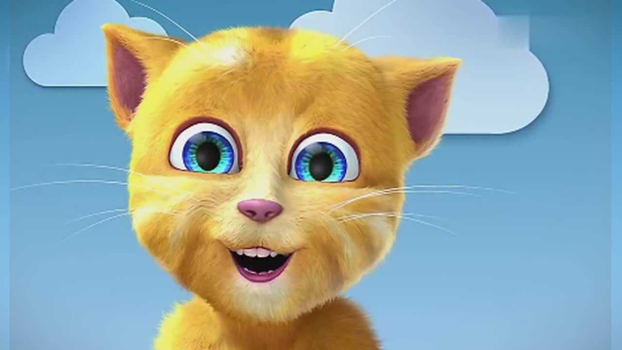 会说话的金杰猫教你用各种语言打招呼