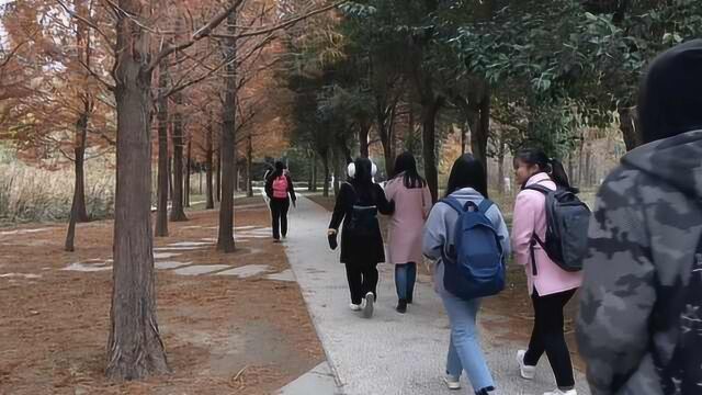 一半像夏天一半像秋天!高校现网红路,边走边览两季景