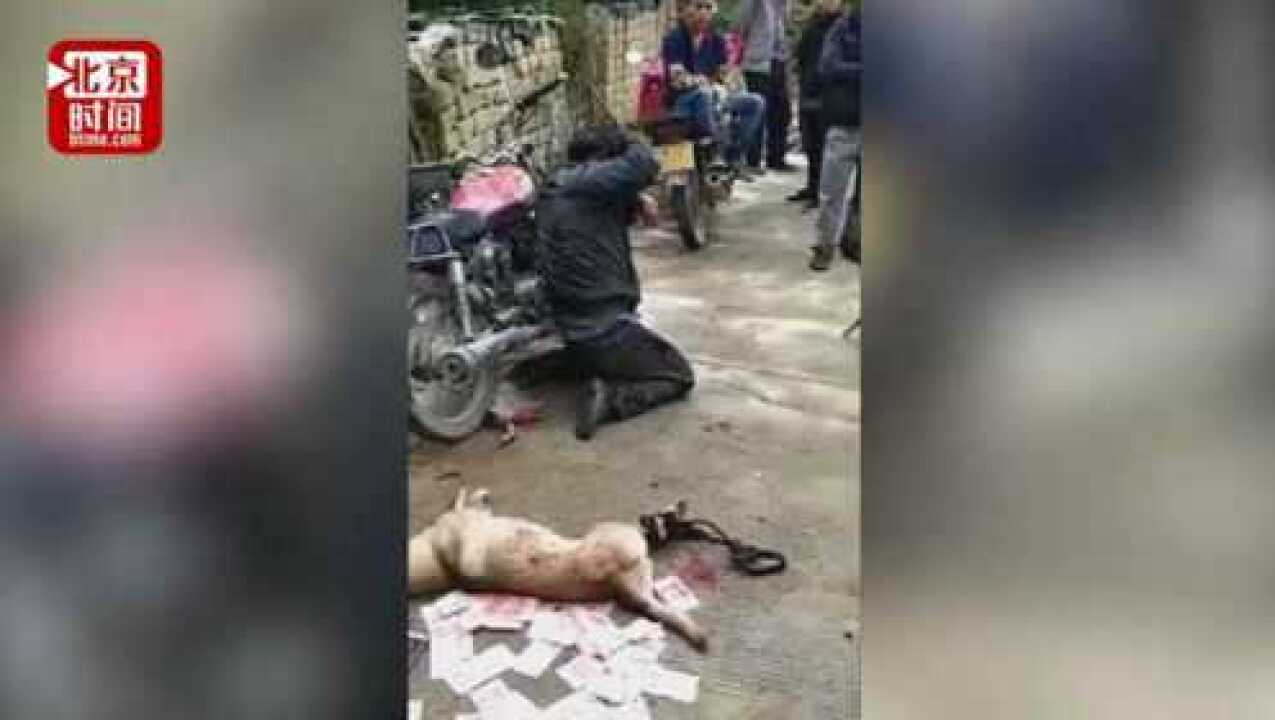 男子乡村里偷狗被抓当众双膝跪地被人暴打