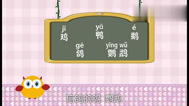 贝瓦学堂之学汉字系列 第1集 鸟字旁