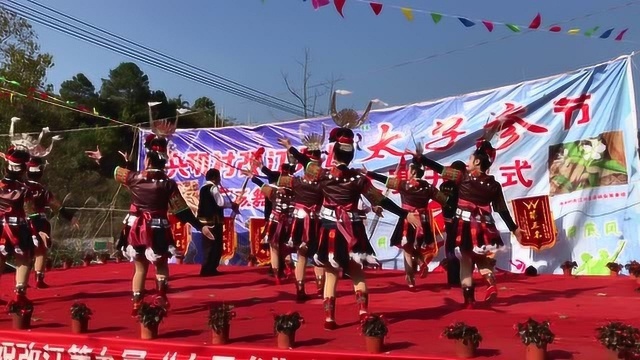 2018麻江县改江第九届太子参节活动