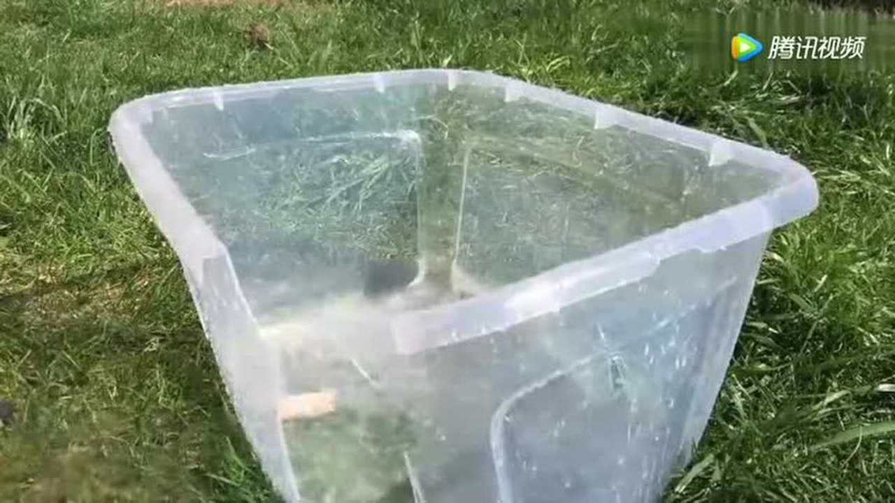 慢镜头下各种物品的熔化过程,太美了_高清1080P在线观看平台_腾讯视频