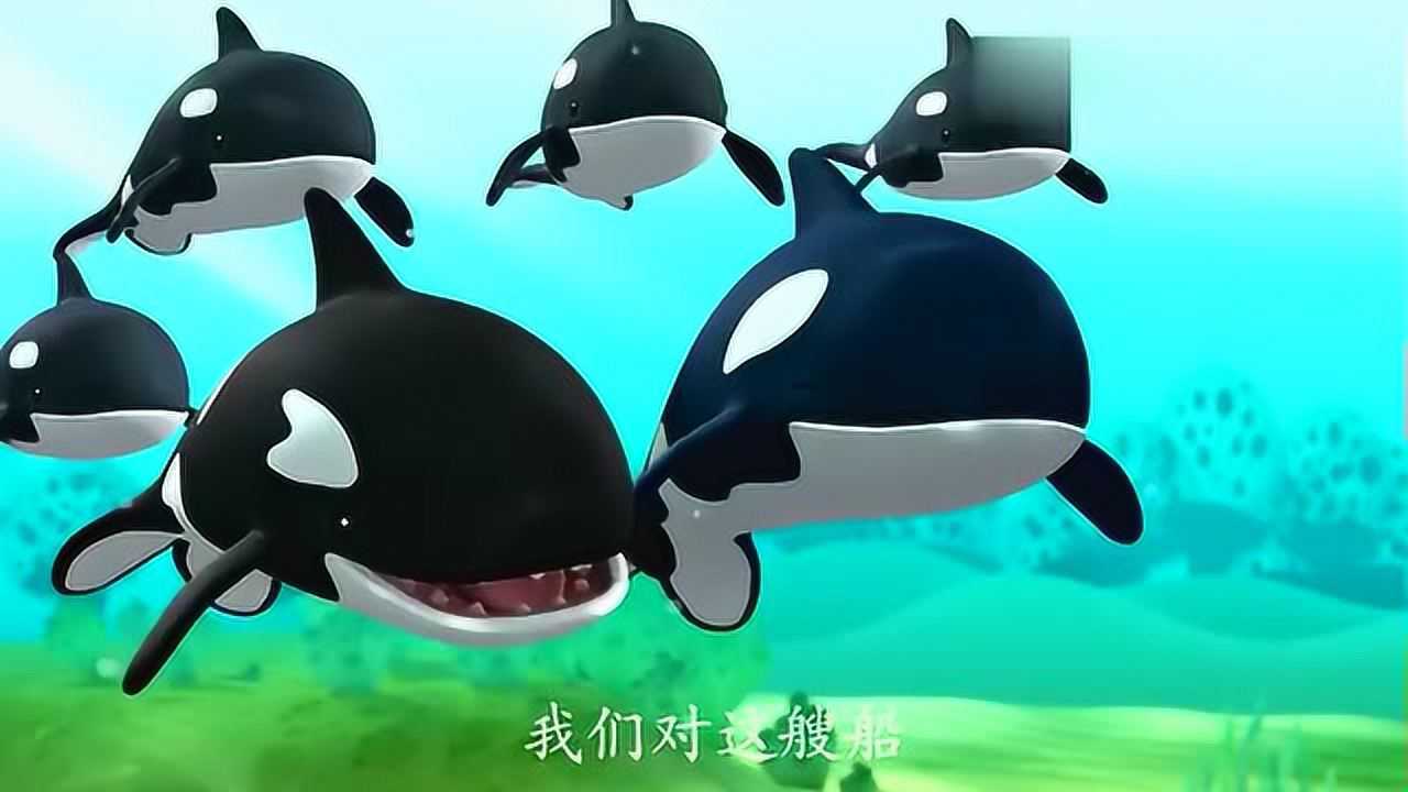 海底小纵队有个虎鲸像极了巴克队长认识的呱唧
