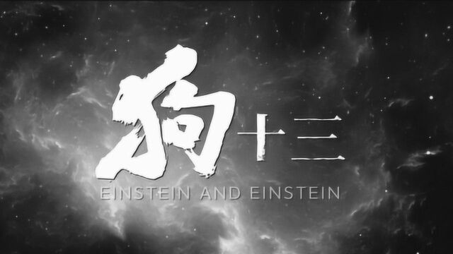 这电影沉寂5年终于上映《狗13》中国式的家长与教育