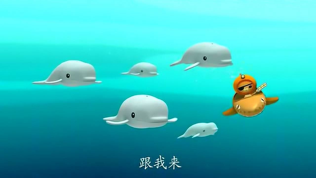 《海底小纵队》白鲸听不懂呱唧说的话,他们沟通不了呀
