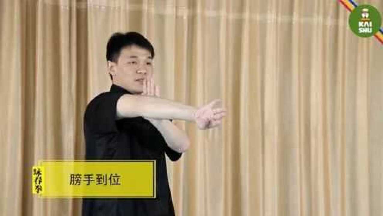 咏春启蒙09拳法、掌法与膀手法_高清1080P在线观看平台_腾讯视频