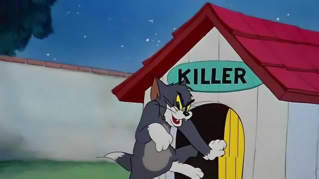 猫和老鼠哈哈汤姆看你一开始笑得有多灿烂