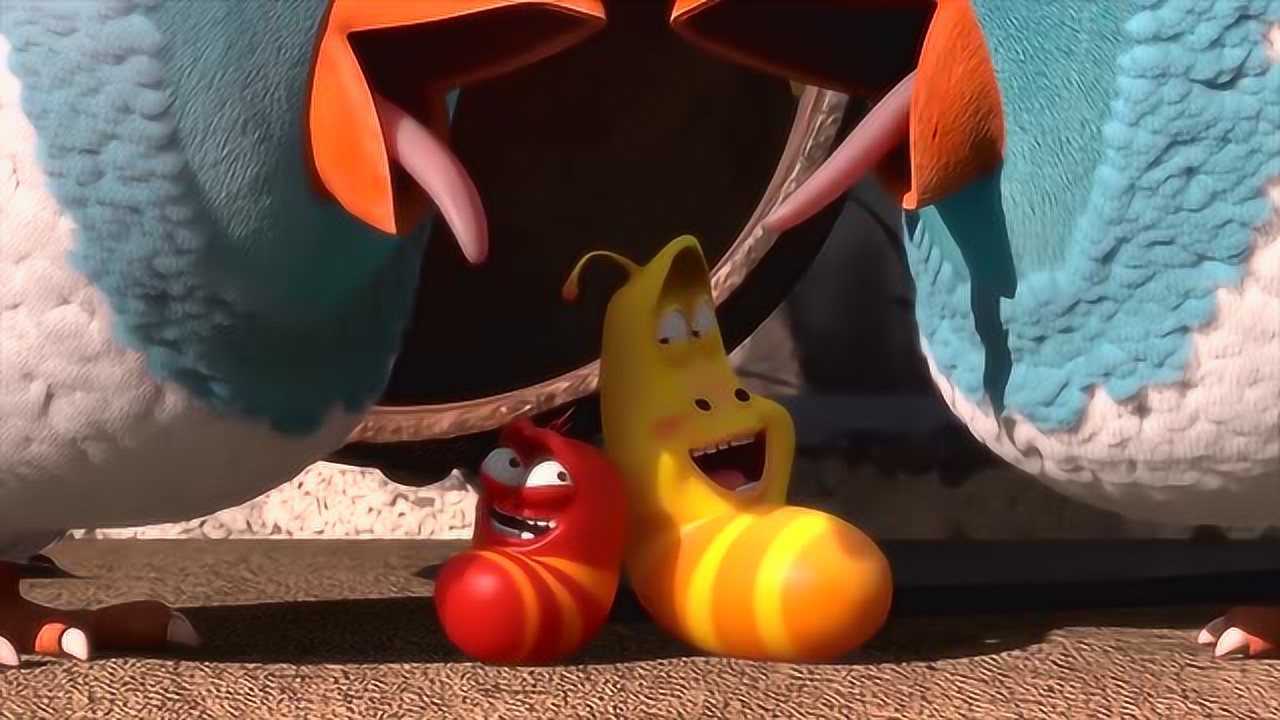 爆笑虫子小黄小红遇上两只行为奇怪的鸟头顶竟会发出刺眼的光