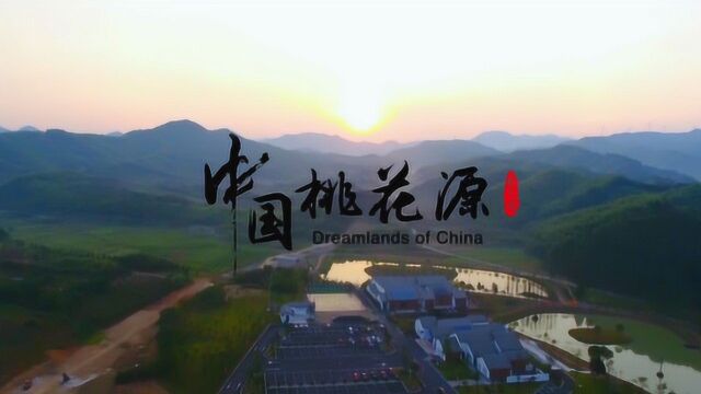 现实版中国桃花源,原来就藏在“浙”里!