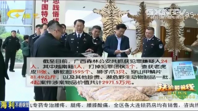 广西破获特大贩卖濒危野生动物制品案,涉案金额2900余万元