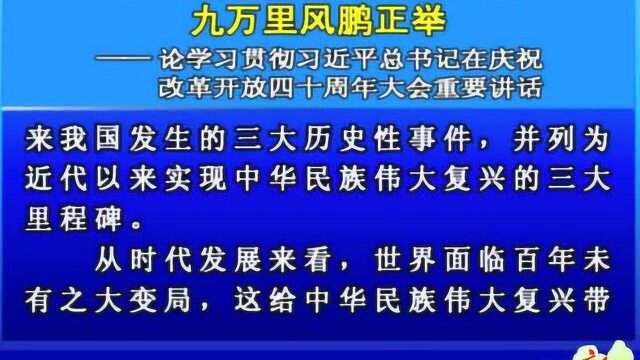 论学习贯彻习近平总书记在庆祝改革开放四十周年大会重要讲话